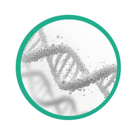 6大理由讓您選擇特來化工